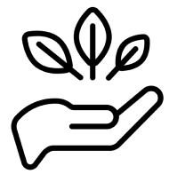 Conseils personnalisés